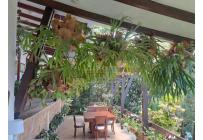 Casas, Alquiler, Dapa - $8.000.000