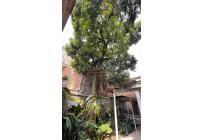 Casas, Venta, La Selva - $750.000.000