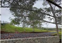 Lotes, Venta, Dagua - $280.000.000