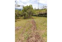 Lotes, Venta, Dagua - $280.000.000