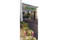 Apartamentos, Alquiler, Ciudad Pacifica - $1.600.000