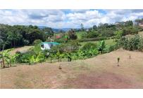 Casas, Venta, Calima (Darién) - $298.000.000