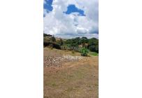 Casas, Venta, Calima (Darién) - $298.000.000
