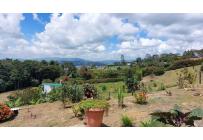 Casas, Venta, Calima (Darién) - $298.000.000