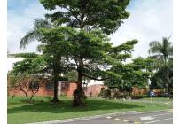 Casas, Venta, Paraíso de Ciudad Jardín - $1.200.000.000