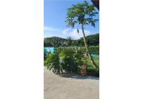 Lotes, Venta, Palmira - $260.000.000