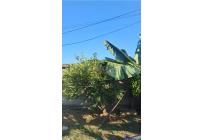 Lotes, Venta, Palmira - $260.000.000