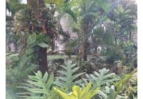 Apartamentos, Venta, El Limonar - $270.000.000
