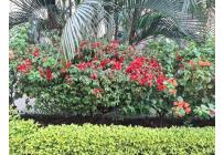 Apartamentos, Venta, Santa Anita - $470.000.000