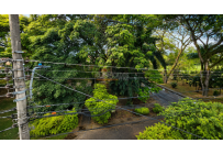 Casas, Venta, Palmira - $470.000.000