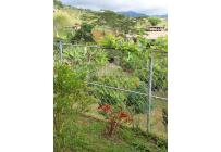 Fincas y Casas Campestres, Venta, Dagua - $530.000.000