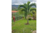 Fincas y Casas Campestres, Venta, Dagua - $530.000.000