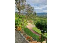 Fincas y Casas Campestres, Venta, Dagua - $600.000.000