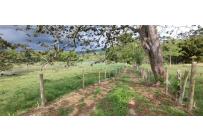Lotes, Venta, Restrepo - $330.000.000