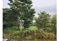 Casas, Venta, Pance - $1.550.000.000