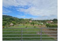 Fincas y Casas Campestres, Venta, Zarzal - $390.000.000