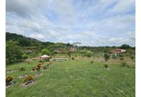 Fincas y Casas Campestres, Venta, Zarzal - $390.000.000