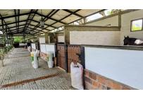 Casas, Venta, Palmira - $4.800.000.000