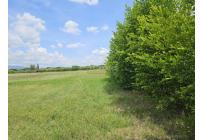 Lotes, Venta, Palmira - $590.000.000