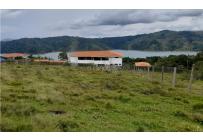 Lotes, Venta, Calima (Darién) - $325.000.000