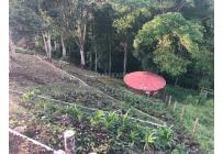 Fincas y Casas Campestres, Venta, Alcalá - $540.000.000