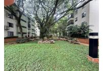 Apartamentos, Venta, Multicentro - $450.000.000