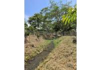 Lotes, Venta, Pance - $1.000.000.000