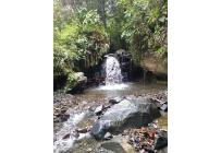 Fincas y Casas Campestres, Venta, Buga - $270.000.000