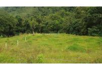 Fincas y Casas Campestres, Venta, Buga - $270.000.000