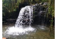 Fincas y Casas Campestres, Venta, Buga - $270.000.000