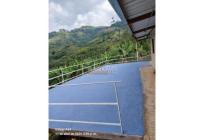 Fincas y Casas Campestres, Venta, Buga - $270.000.000