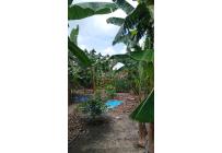 Fincas y Casas Campestres, Venta, Palmira - $400.000.000