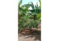 Fincas y Casas Campestres, Venta, Palmira - $400.000.000