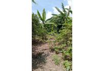 Fincas y Casas Campestres, Venta, Palmira - $400.000.000