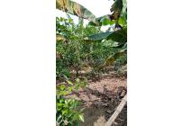 Fincas y Casas Campestres, Venta, Palmira - $400.000.000