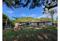 Fincas y Casas Campestres, Venta, Sevilla