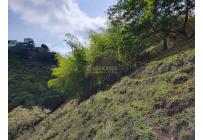 Fincas y Casas Campestres, Venta, Sevilla