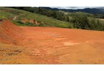 Lotes, Venta, Dagua - $290.000.000
