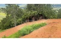 Lotes, Venta, Dagua - $290.000.000