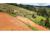 Lotes, Venta, Dagua - $290.000.000