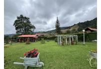 Fincas y Casas Campestres, Venta, Dagua - $850.000.000