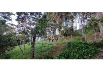 Edificios, Venta, Dapa - $2.599.000.000