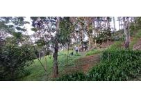 Edificios, Venta, Dapa - $2.599.000.000