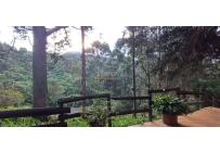 Edificios, Venta, Dapa - $2.599.000.000