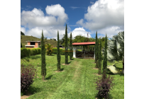 Fincas y Casas Campestres, Venta, Restrepo - $1.249.000.000