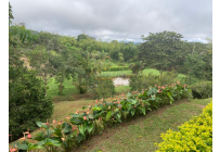 Fincas y Casas Campestres, Venta, Restrepo - $1.249.000.000