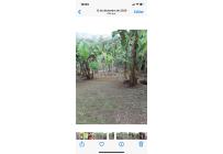 Fincas y Casas Campestres, Venta, Los Ciruelos - $420.000.000