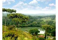Casas, Venta, Jamundí - $1.800.000.000