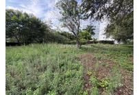 Lotes, Venta, Bellavista - $2.800.000.000