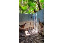 Casas, Venta, Jamundí - $900.000.000